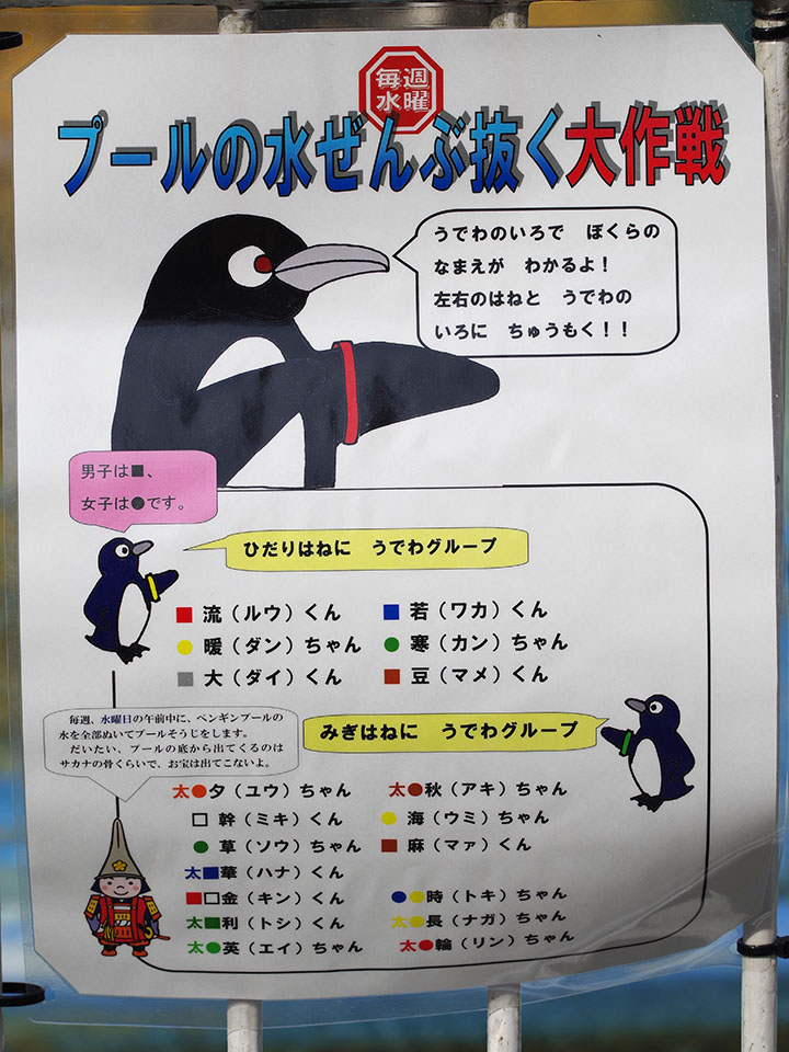 高岡古城公園へ行ったらやっぱり動物園です 新 ぐだぐだ日記 と覚え書き Part 2 高岡古城公園へ行ったらやっぱり動物園です 新 ぐだぐだ日記 と覚え書き Part 2