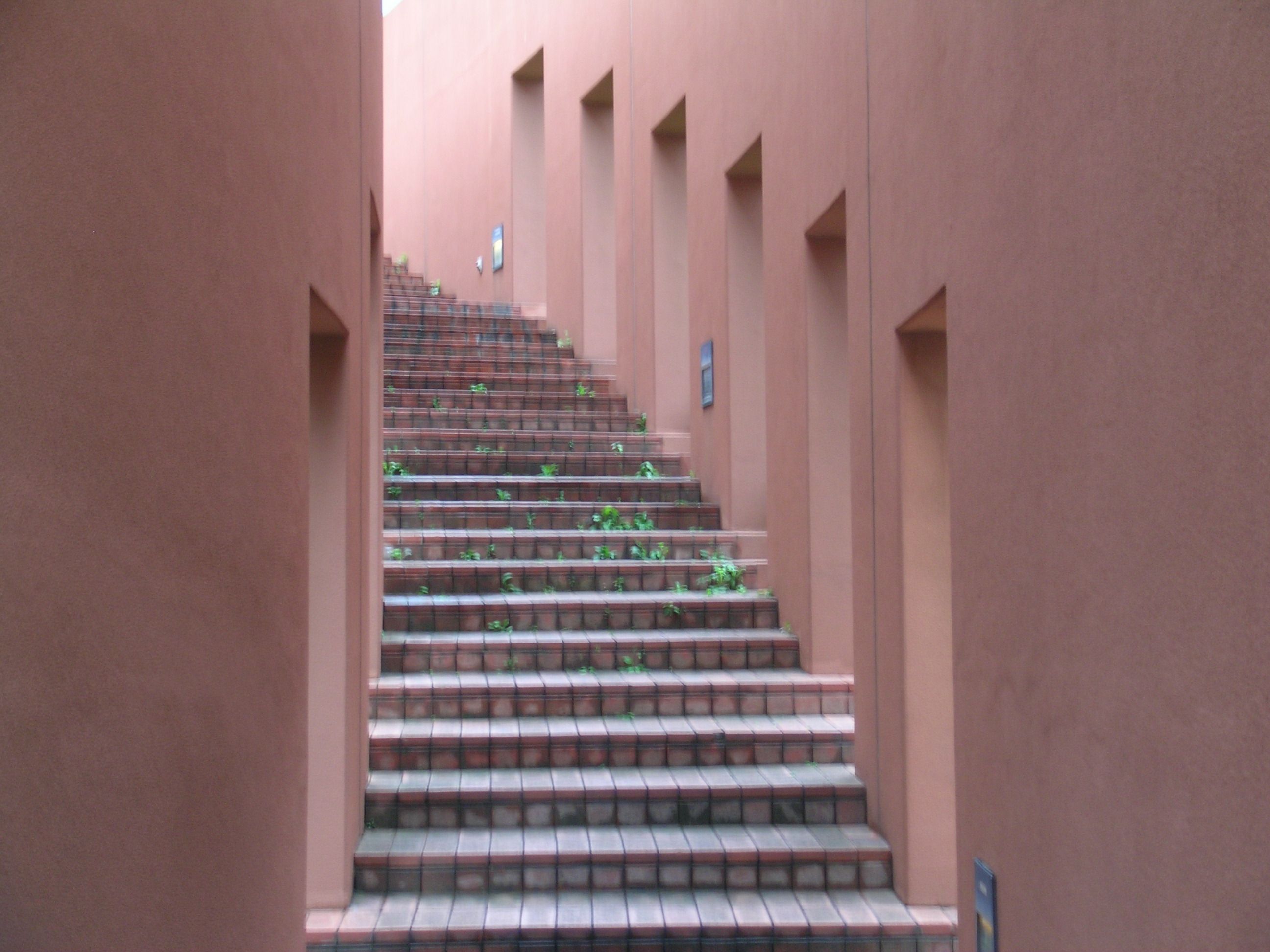 ベリーニの丘 東人雑記