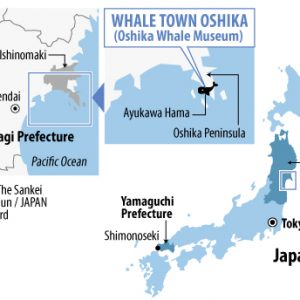 【JF】Map-Whale-Town-Oshika_Oshika-Whale-Museum-300x300