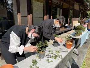 thumbnail_image7