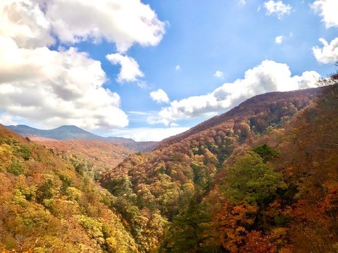 城ケ倉大橋
