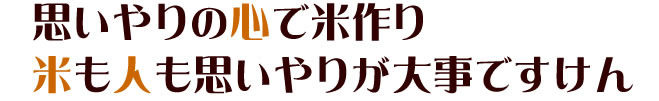 bg5