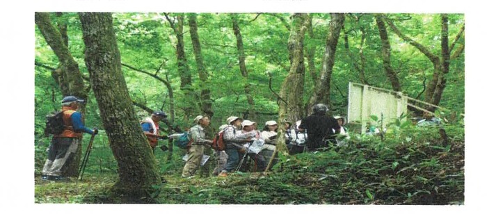 BRW2C6FC9177DC1_003069