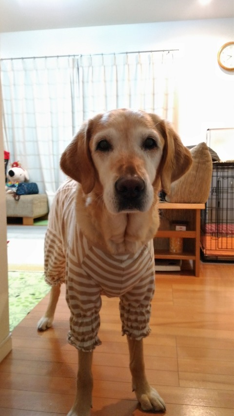 P_20171203_213929_vHDR_Auto