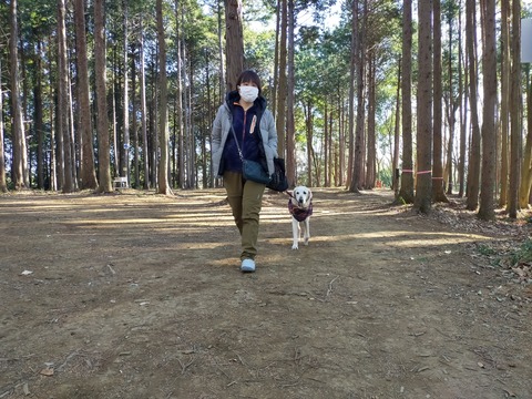 IMG20220103101210