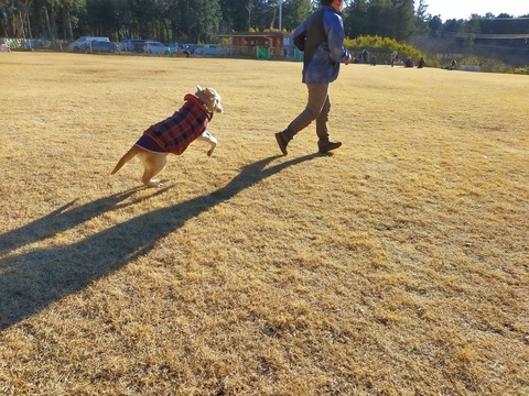 IMG20220103141807