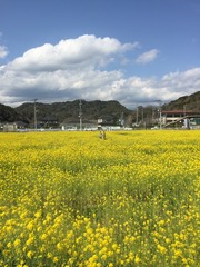 IMG_6519