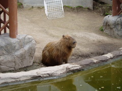 P6280007
