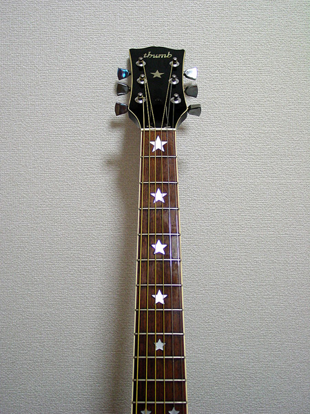 寺田楽器 Thumb サム PU付アコギ アコースティックギター エヴァリー