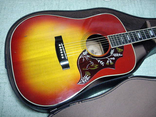 13300円強化 新作 新品 モーリス ハミングバード WH-20 ケース付 楽器