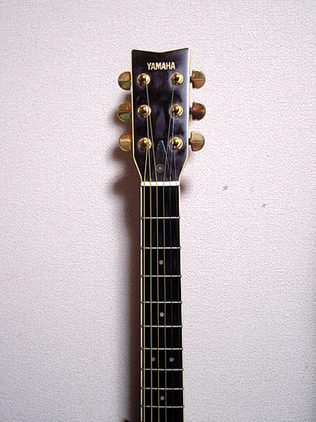 ヤマハ Lシリーズ エレアコ （YAMAHA L-5E） : ギター・ラボ （国産