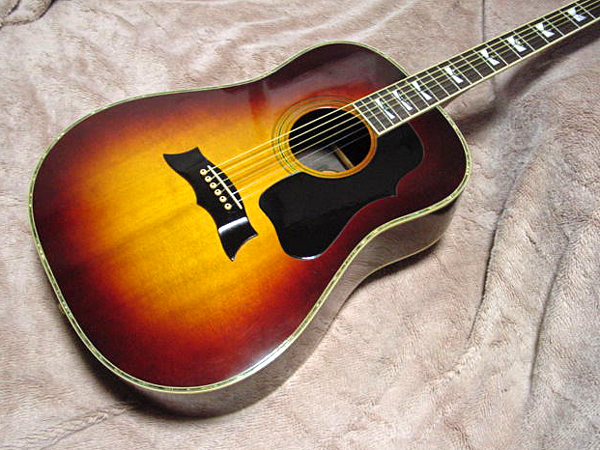 モーリス WGシリーズ （Morris WG-600） : ギター・ラボ （国産ギター