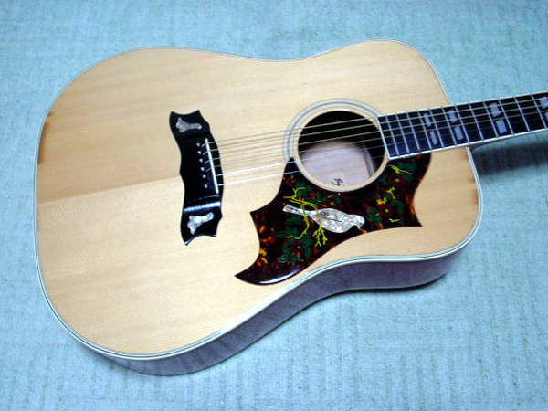 ジャガード ダブ JAGARD DOVE | www.kuwaitiurologist.com