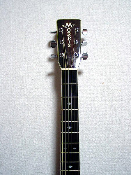 ★激鳴り　TFモーリス　W-50 スプルース単板　新品弦 Morris Morris W-50 TF Acoustic Guitar Made in Japan