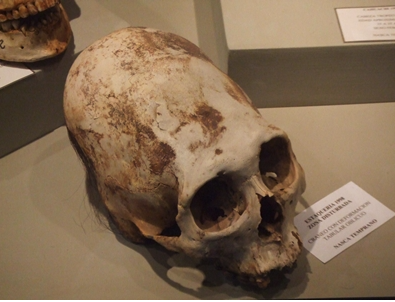 古代に王として君臨したのは 人間ではないかも知れない Guitarnoopyのブログ