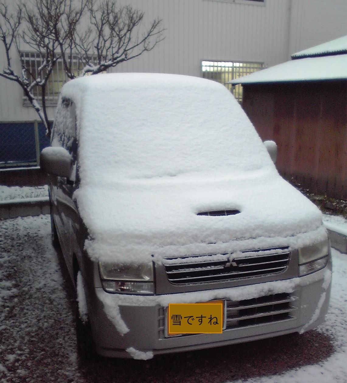 初雪2016