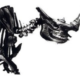 cf375a44.jpg