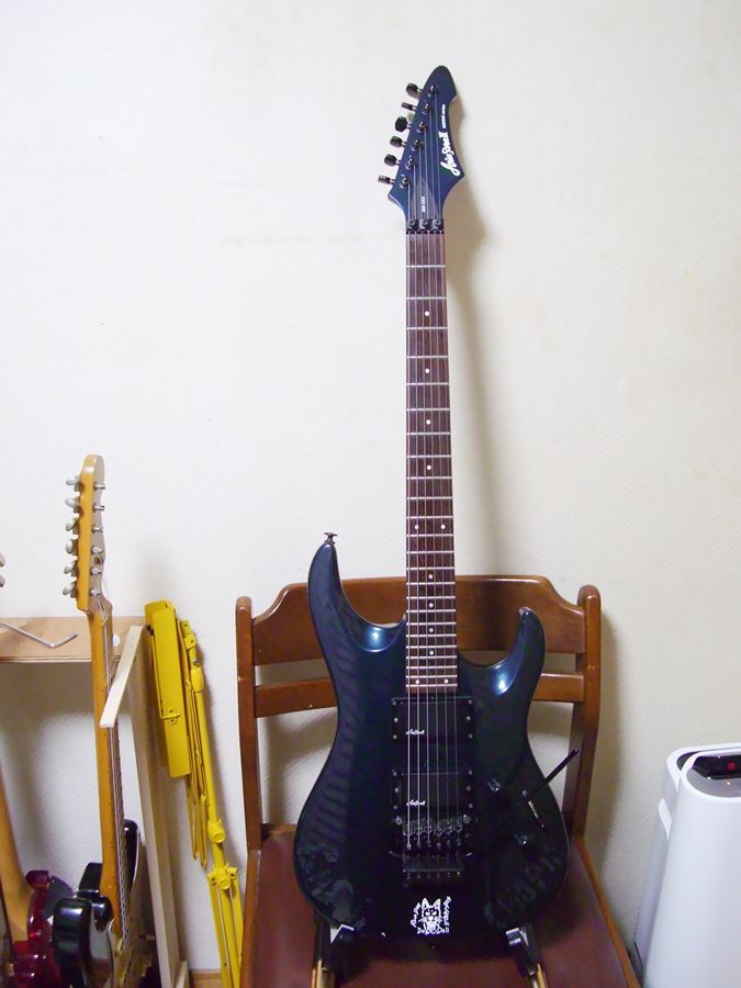 ☆他に類を見ない貴方だけの一本　AriaProⅡ MAGNA HSH ST AriaProII Magna series Electric Guitar アリア - メルカリ
