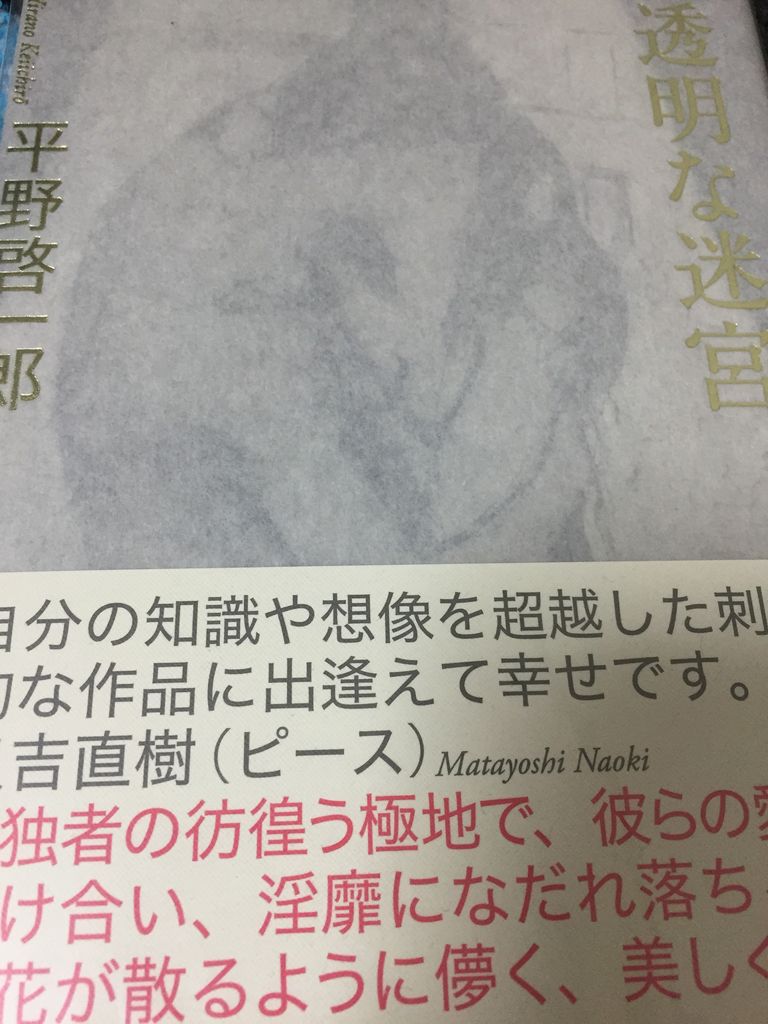 平野啓一郎さん 透明な迷宮 新潮社 読了 愚人さん家の読書棚blog 平野啓一郎さん 透明な迷宮 新潮社 読了 愚人さん家の読書棚blog