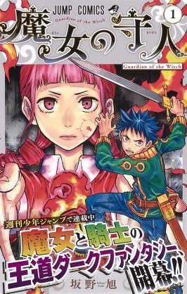 次回作にご期待くださいエンド 魔女の守人 最終回へ 最終3巻は9月発売予定 愚人さん家の読書棚blog