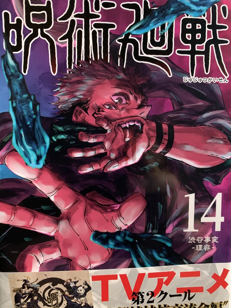 読書感想 芥見下々さん 呪術廻戦 14巻 ジャンプコミックス 読了 愚人さん家の読書棚blog 読書感想 芥見下々さん 呪術廻戦 14巻 ジャンプコミックス 読了 愚人さん家の読書棚blog