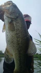 1201138b.jpg