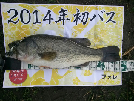 フォレさん初バス