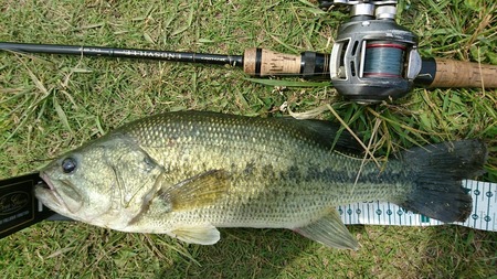 2b581cf6.jpg