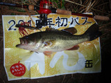缶さん