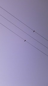 3a770108.jpg