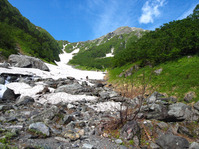 P7176524