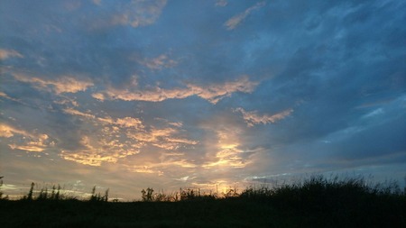 6551639d.jpg