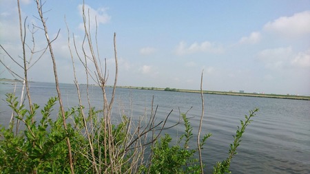 6c7223c3.jpg