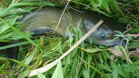 7db27582.jpg