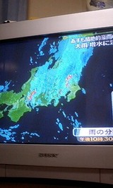 080828_2322~0001