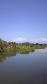 a5925c13.jpg