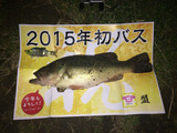 盟さん