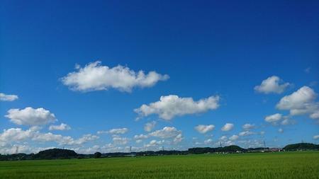 ddf653a5.jpg