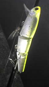 e87468b0.jpg