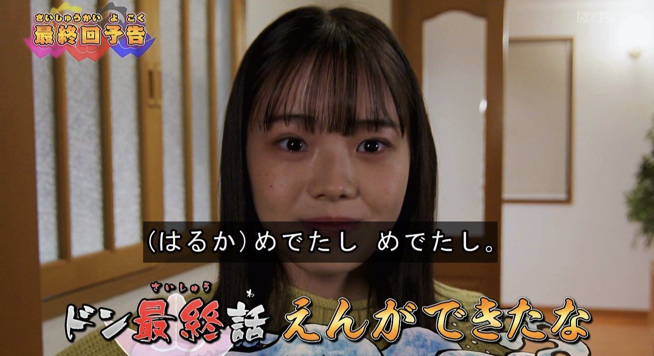 ドンブラザーズ 最終回