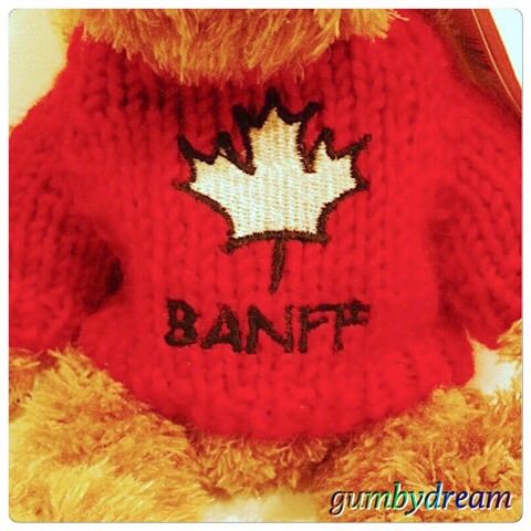 Souvenir Life Is Good Blog