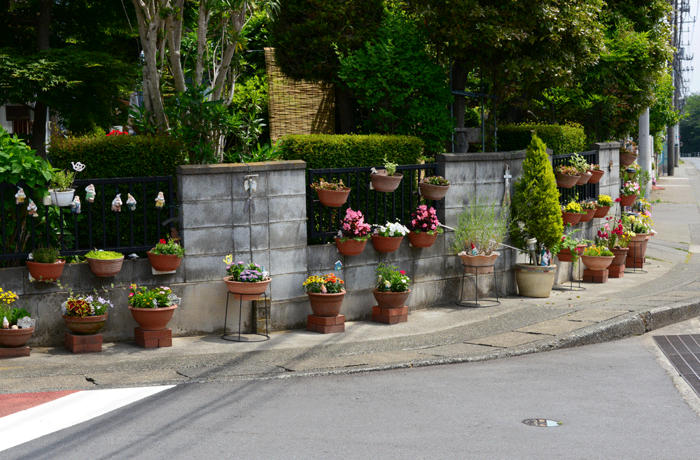 展示写真や花がきれいな家のこと 撮影日記