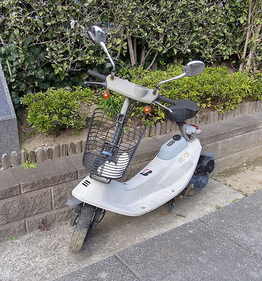 イメージ 1