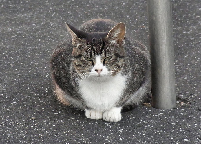イメージ 1