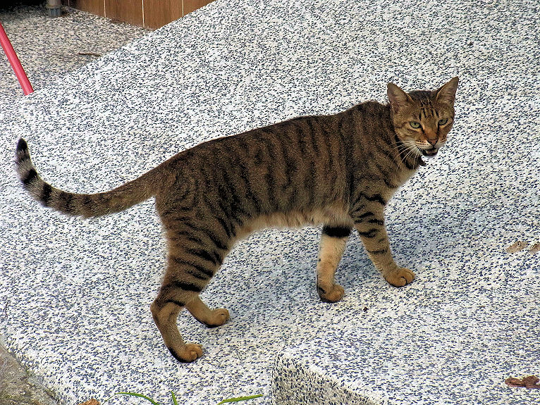 イメージ 2