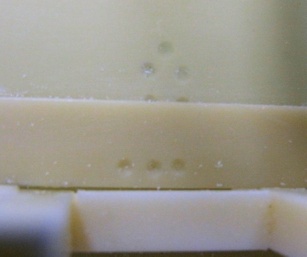 f:id:gumka:20191013154635j:plain f:id:gumka:20191013154635j:plain