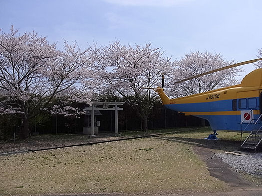 イメージ 3