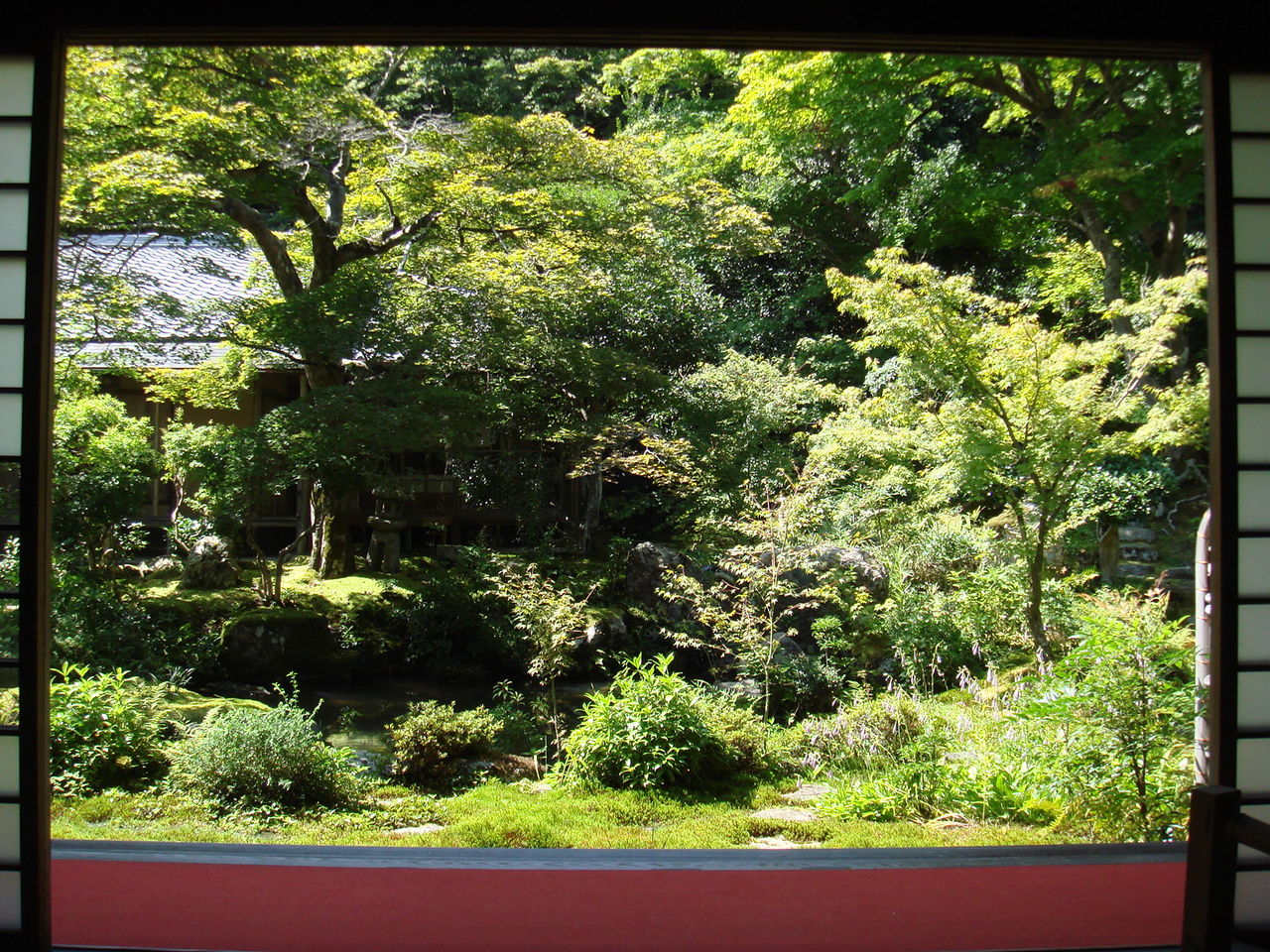 京都10年9月 その6 穴場スポット 宝ヶ池公園 床みどり 床もみじで有名 実相院 Tokyo Live 京都10年9月 その6 穴場スポット 宝ヶ池公園 床みどり 床もみじで有名 実相院 Tokyo Live