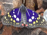 e2