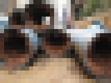 vgt